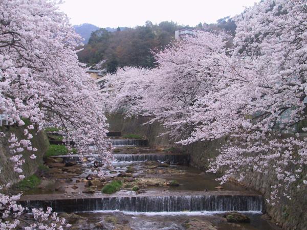 Kadonobo Ryokan Kobe Buitenkant foto